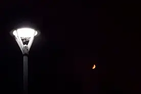 朱小健丨七夕说“夕”图片