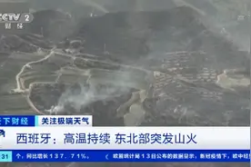 持续受热浪侵袭，西班牙东北部突发山火 已摧毁约40公顷森林图片