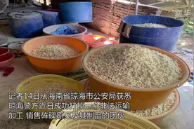 非法运输加工销售砗磲约105吨，7人被抓！视频封面