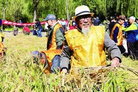 农业遗产：北京农业新的增长点图片