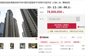 上海豪宅汤臣一品7890万元司法拍卖 此前两套天价成交图片