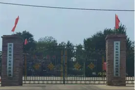 河北一旅游公司举办“少年军校”：军事“夏令营”里三少年遭遇殴打图片