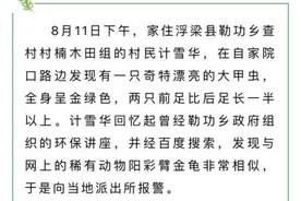 极其罕见！浮梁县勒功乡发现的这只甲虫，是国家二级保护动物图片