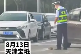 小刺猬独自过马路，交警叔叔发现后双手抱起，网友：满满的都是爱图片