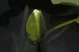 抓住夏天的尾巴，来松江玩吧图片