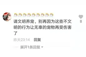 玉溪某餐厅，女子带宠物狗上桌舔餐盘！网友不干了，餐厅回应……图片
