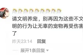 玉溪某餐厅，女子带宠物狗上桌舔餐盘！网友不干了，餐厅回应……图片