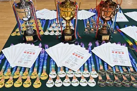 潍坊市全民健身运动会足球赛落幕图片