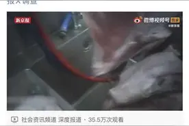 投诉举报问题多！被曝光的大润发3天前曾被济南市场监督管理局约谈图片