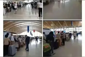 赴美留学机场排起千米长队？商务舱10万票价再现，业内人士：只是短期高峰图片