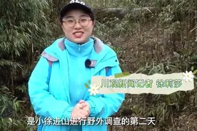 小徐进山Vlog | 四川科研圈有群人，他们为大熊猫修复家园图片