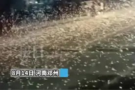 “朝生暮死”的蜉蝣密密麻麻现身河南邓州，专家：它们正在婚飞图片