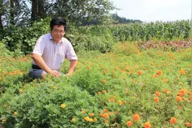 快速揪出土壤“隐形杀手”图片
