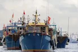 虎门新湾197艘渔船出海，你的海鲜在路上图片