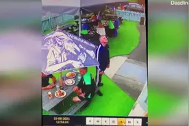 英国一男子成功接住从楼上掉下的宠物狗 狗狗毫发无伤跑掉图片