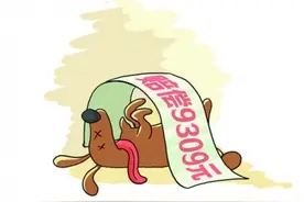 “狗咬狗”引争端 医药费怎么赔？一起饲养动物损害责任纠纷案在厦审理图片