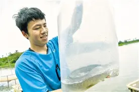 海口琼山区努力做大做强福鳗特色养殖产业图片