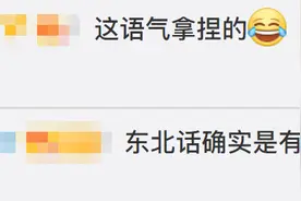拦不住了，东北话传入动物界！这只鹦鹉东北话大概有十级图片