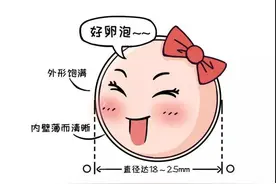 有卵泡就能顺利有孕？你要这么认为就错了图片