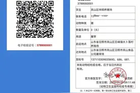 从一个“电子二维码”，看一头猪的全程智慧监管图片