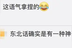 “你嘎哈啊，嘎哈……”这只鹦鹉一开口就是东北话图片