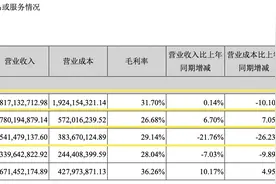 三只松鼠寄予厚望的新品牌上半年亏损近5000万元图片