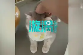 热闻｜“觉得好玩”女子因视频配乐赔泸州老窖7万！律师：没毛病图片