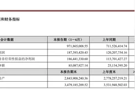 金徽酒上半年净利同比增长56%，百元以上产品营收增49%图片