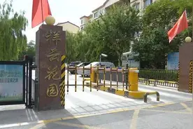 大树折断砸了车 是天灾还是人祸图片
