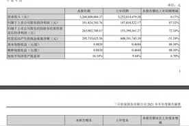 聚焦半年报｜三只松鼠净利3.5亿，子品牌小鹿蓝蓝亏损近5000万图片