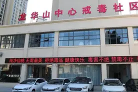 带“他们”再次回家图片