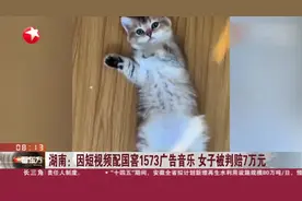 湖南：因短视频配国窖1573广告音乐  女子被判赔7万元视频封面