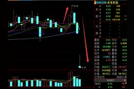 9分钟闪崩跌停，4.6万股东泪目！网友炸锅：“亏了35个点了，太惨了”，发生了什么？图片