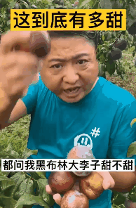 附件1628843035.gif