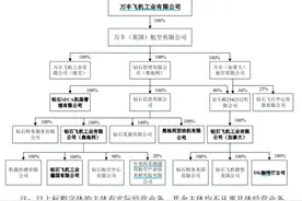 陈爱莲家族半年得失：日发纺机上市失利 万丰系加码通航两引战投图片