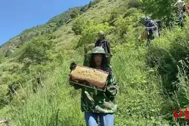 “一上线就成吨地卖”，这群彭州青年把黑水县农产品搬进了微商城图片