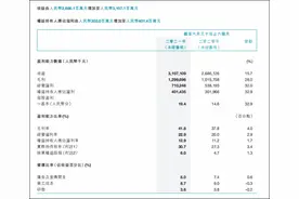 361度上半年业绩：营收净利双增长，但营收不及李宁三分之一图片