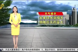 未来三天山东降水增多,鲁西北西部和鲁西南雷阵雨,最高温28到30℃视频封面