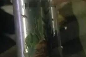 送单时听到奇怪声音，他的举动破了大案图片