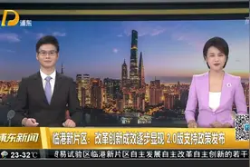 临港新片区：改革创新成效逐步显现 2.0版支持政策发布视频封面
