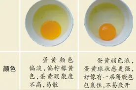 “可生食蛋”站在了风口上图片