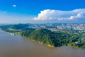 不负重托！书写打造长三角“白菜心”时代答卷图片