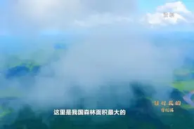 拿得起放得下的弯把锯，见证从“伐木”到“护林”的时代进程图片
