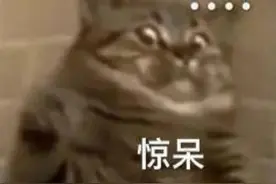 考这些证能“躺赚”？3000多人中招！两个套路曝光……图片