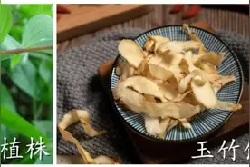 玉竹又名葳蕤，具有养阴润燥之效，还能润泽肌肤图片