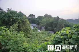 69岁老人收养1400只流浪动物的困境：有人特意遗弃，有人要挟逼迫收养图片