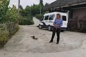 贵州一村民夹到豹猫拍抖音要熬汤，民警刷到视频火速解救图片