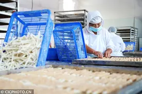 山东青岛：宠物食品生产忙图片