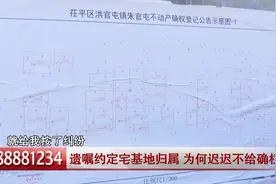 父母留下遗嘱宅基地给女儿 为何迟迟不能确权？图片