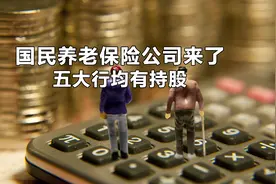 国民养老保险公司来了 五大行均有持股视频封面